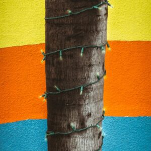 WordPress for Beginners – Master WordPress